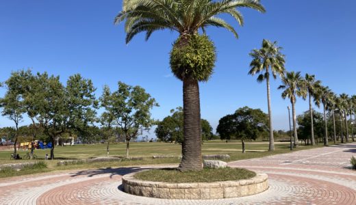 姪浜の小戸公園がどちゃくそタイプだった。