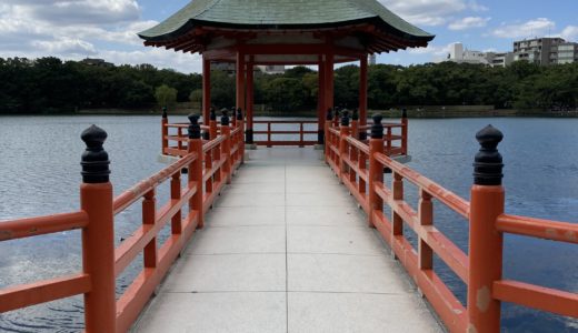 大濠公園はやはり最高だ。素晴らしい。